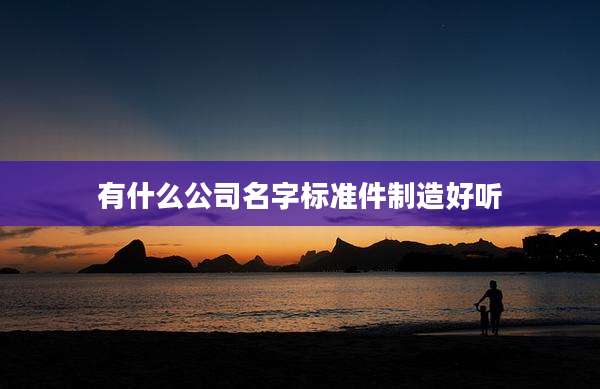有什么公司名字标准件制造好听