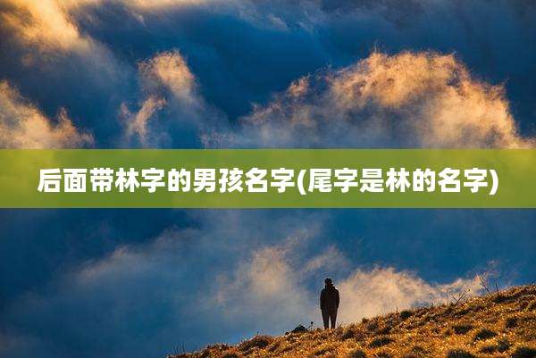后面带林字的男孩名字(尾字是林的名字)
