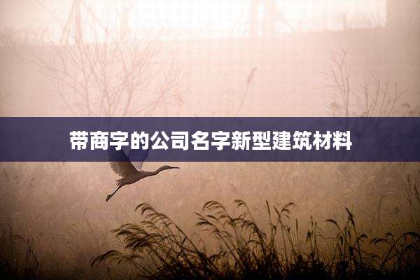 带商字的公司名字新型建筑材料