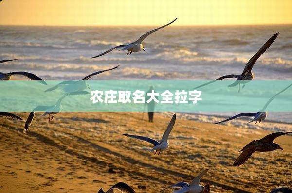 农庄取名大全拉字