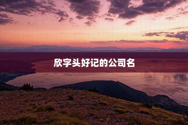 欣字头好记的公司名
