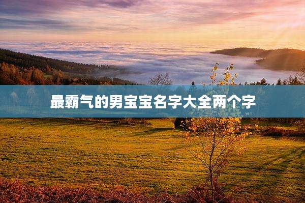 最霸气的男宝宝名字大全两个字
