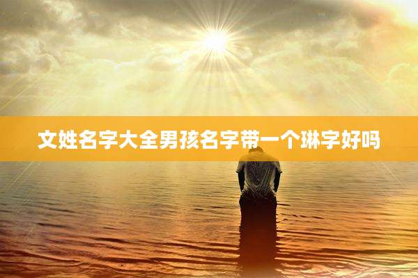 文姓名字大全男孩名字带一个琳字好吗