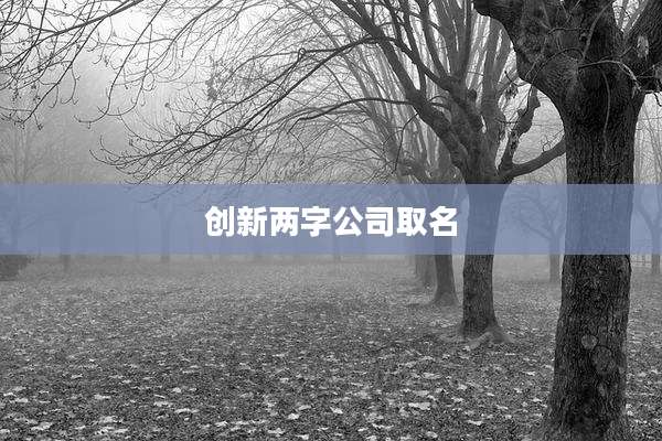 创新两字公司取名