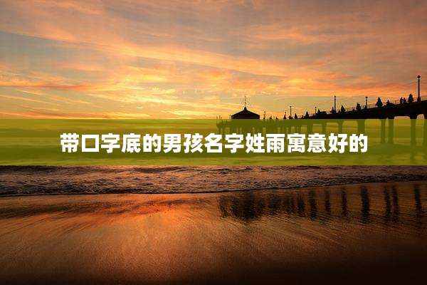 带口字底的男孩名字姓雨寓意好的
