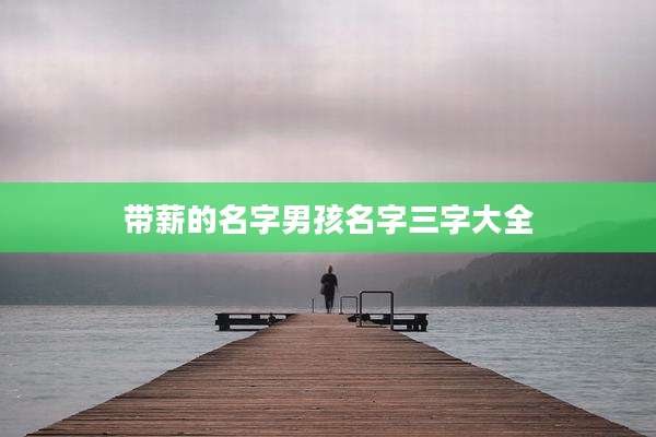 带薪的名字男孩名字三字大全