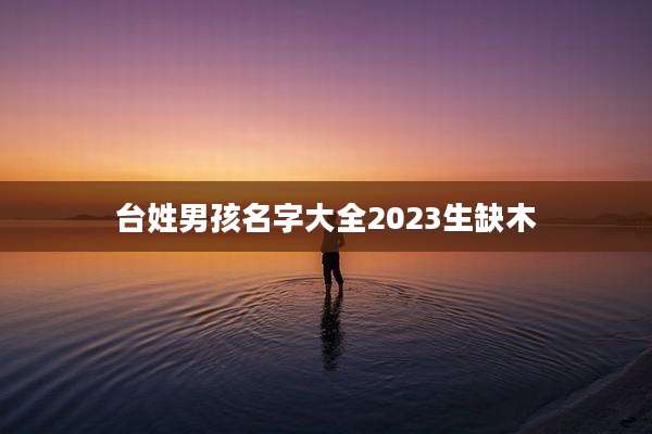 台姓男孩名字大全2023生缺木