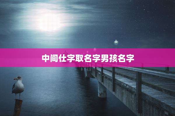 中间仕字取名字男孩名字