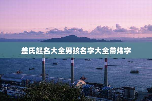 盖氏起名大全男孩名字大全带炜字
