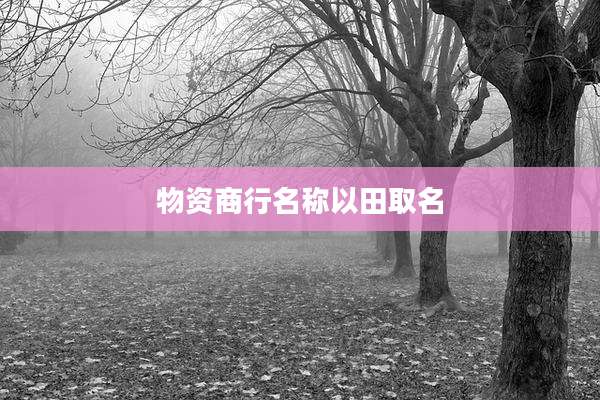 物资商行名称以田取名