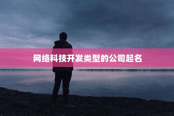 网络科技开发类型的公司起名