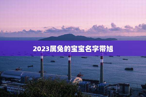 2023属兔的宝宝名字带旭