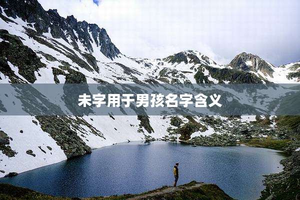 未字用于男孩名字含义