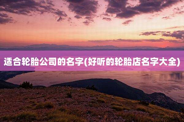 适合轮胎公司的名字(好听的轮胎店名字大全)