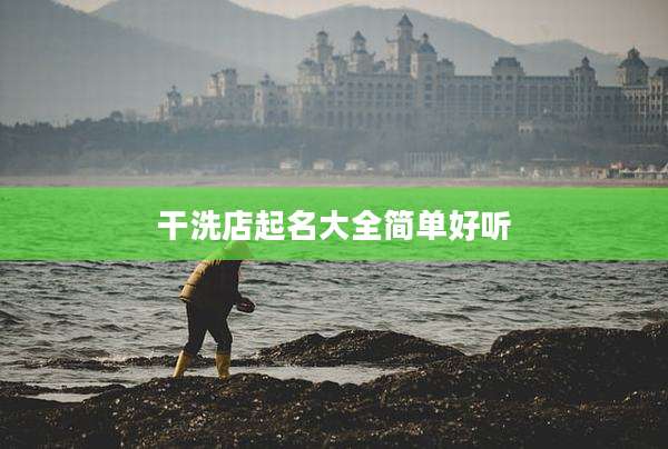 干洗店起名大全简单好听