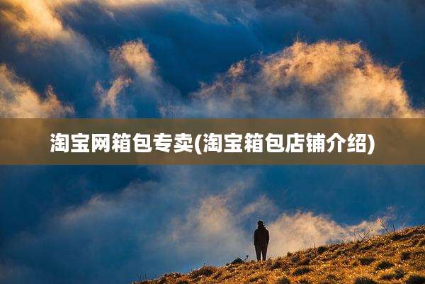 淘宝网箱包专卖(淘宝箱包店铺介绍)