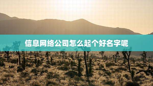 信息网络公司怎么起个好名字呢