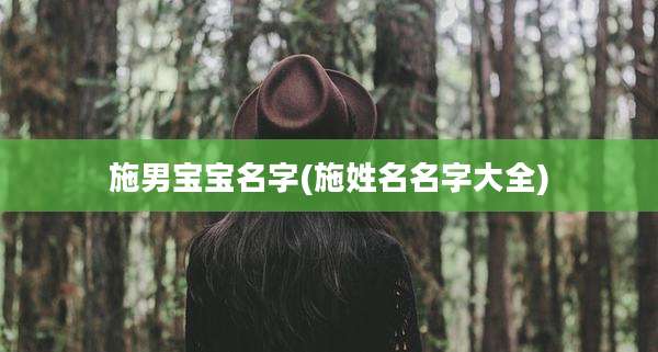 施男宝宝名字(施姓名名字大全)