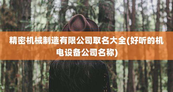 精密机械制造有限公司取名大全(好听的机电设备公司名称)