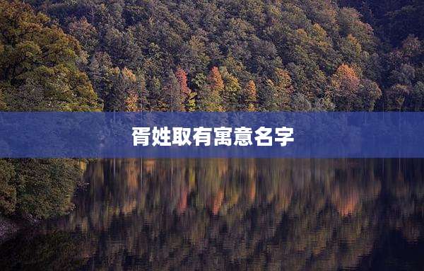 胥姓取有寓意名字