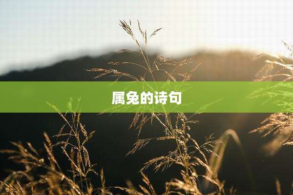 属兔的诗句