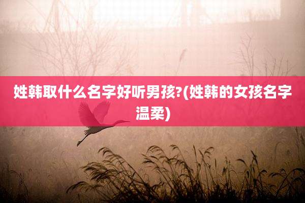 姓韩取什么名字好听男孩?(姓韩的女孩名字温柔)