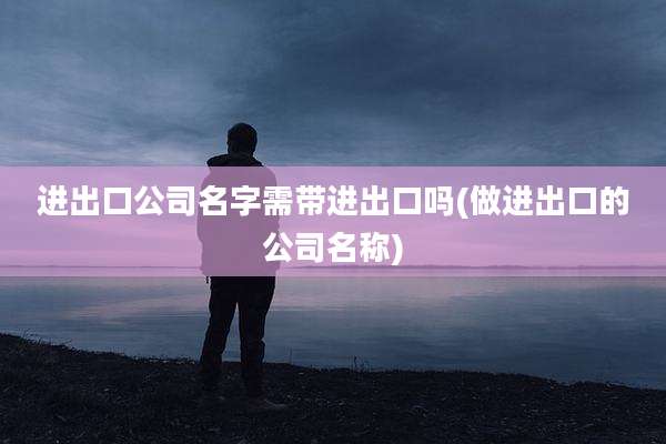进出口公司名字需带进出口吗(做进出口的公司名称)