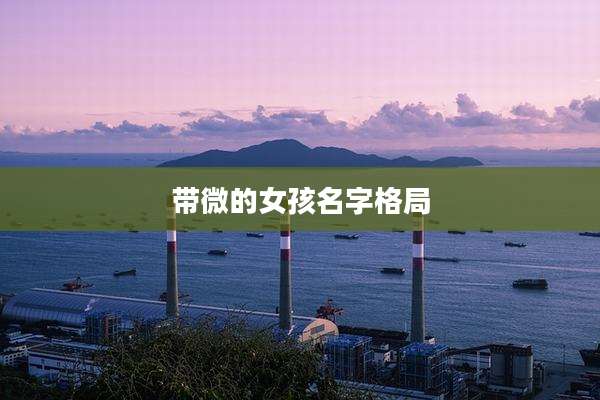 带微的女孩名字格局