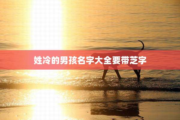 姓冷的男孩名字大全要带芝字