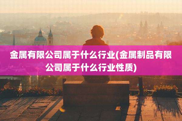 金属有限公司属于什么行业(金属制品有限公司属于什么行业性质)
