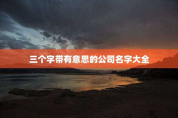 三个字带有意思的公司名字大全