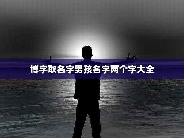 博字取名字男孩名字两个字大全
