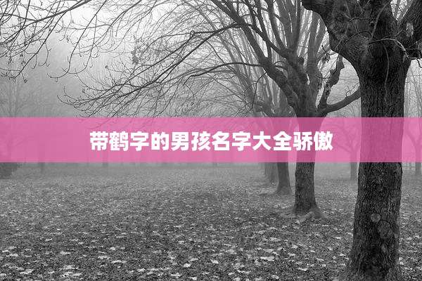 带鹤字的男孩名字大全骄傲