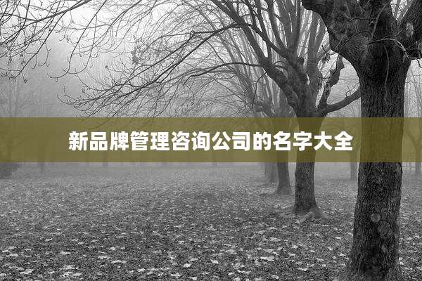 新品牌管理咨询公司的名字大全