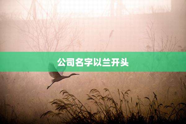 公司名字以兰开头