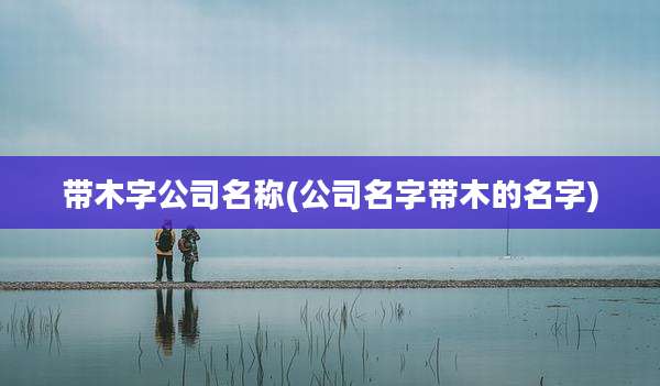 带木字公司名称(公司名字带木的名字)