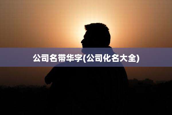公司名带华字(公司化名大全)