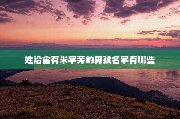 姓沿含有米字旁的男孩名字有哪些