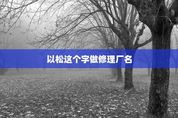 以松这个字做修理厂名