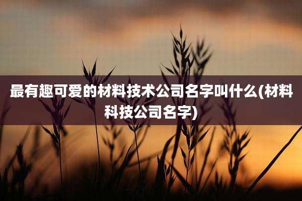 最有趣可爱的材料技术公司名字叫什么(材料科技公司名字)