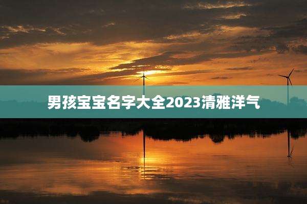 男孩宝宝名字大全2023清雅洋气