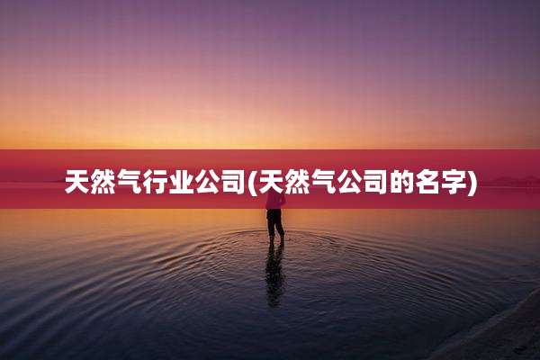 天然气行业公司(天然气公司的名字)