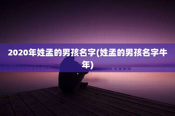 2020年姓孟的男孩名字(姓孟的男孩名字牛年)