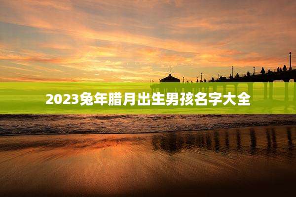 2023兔年腊月出生男孩名字大全