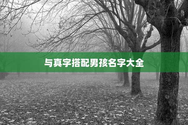 与真字搭配男孩名字大全