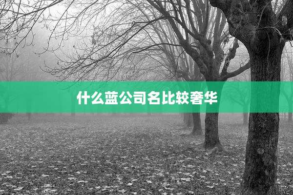 什么蓝公司名比较奢华