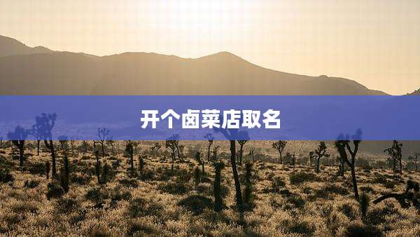 开个卤菜店取名