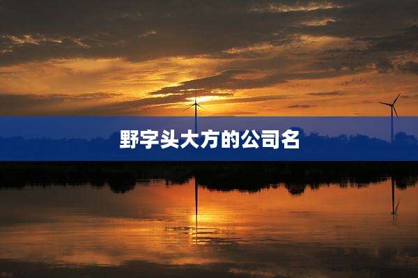 野字头大方的公司名