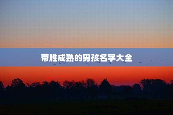 带胜成熟的男孩名字大全