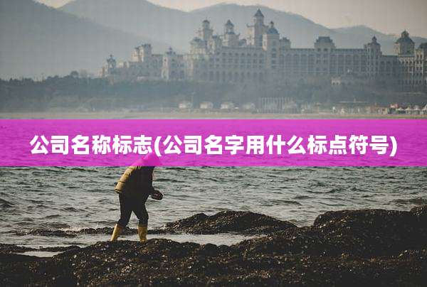 公司名称标志(公司名字用什么标点符号)